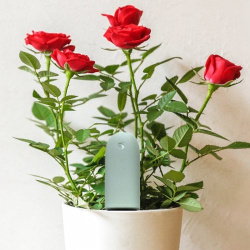 Акция на датчик для растений mi flora (Xiaomi ecosystem) — $14.99